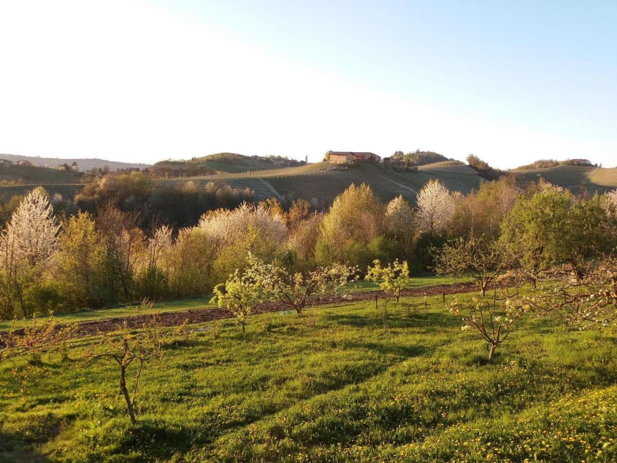 B&B Sant'Anna 21 Monforte dʼAlba Exteriér fotografie