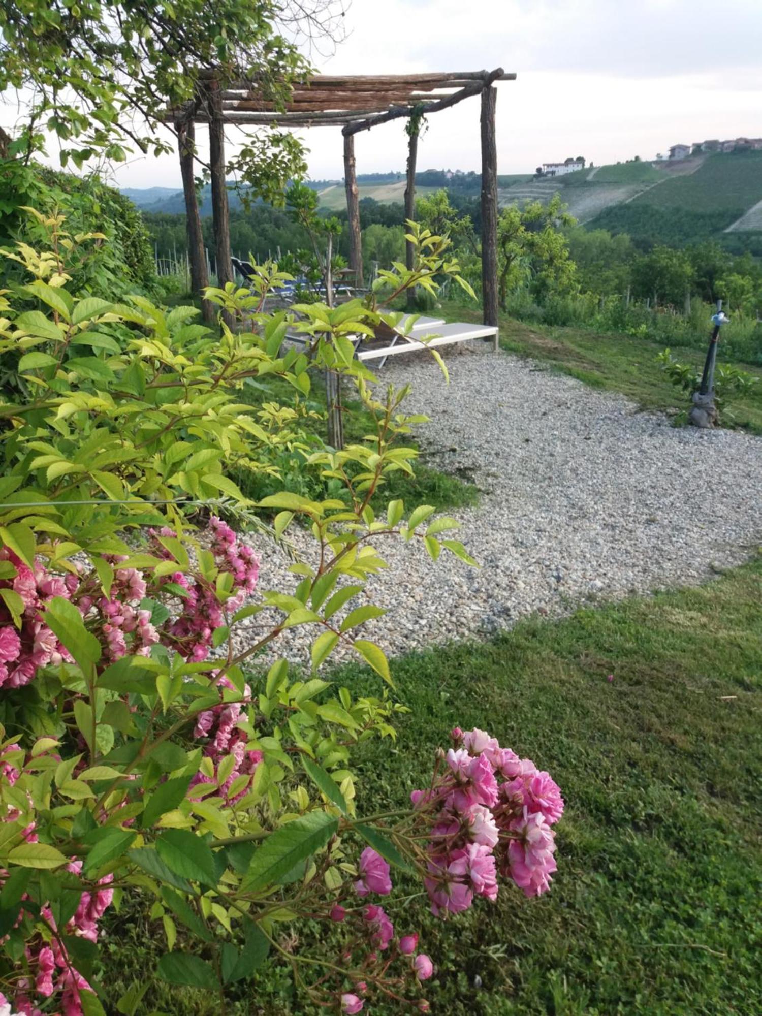B&B Sant'Anna 21 Monforte dʼAlba Exteriér fotografie